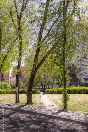 A path between the trees in an urban park with little grass