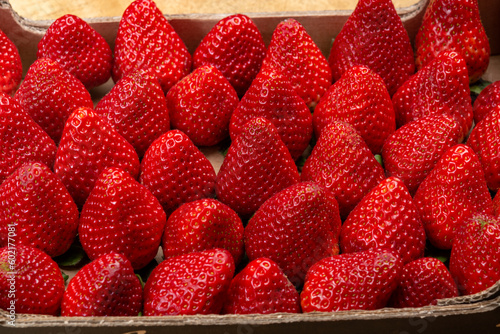 New harvest, 1 kilogram box of ripe red sweet Spanish strawberry