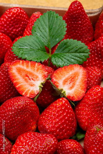 New harvest, 1 kilogram box of ripe red sweet Spanish strawberry