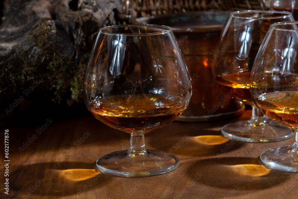 Obraz premium Tasting of aged french cognac brandy alcoholic drink in old cellars of cognac-producing regions Champagne or Bois, France