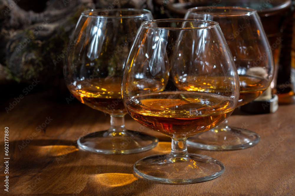Tasting of aged french cognac brandy alcoholic drink in old cellars of cognac-producing regions Champagne or Bois, France Tasting of aged french cognac brandy alcoholic drink in old cellars of cognac-producing regions Champagne or Bois, France