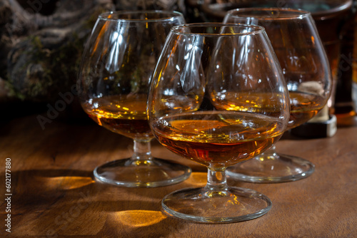 Tasting of aged french cognac brandy alcoholic drink in old cellars of cognac-producing regions Champagne or Bois, France