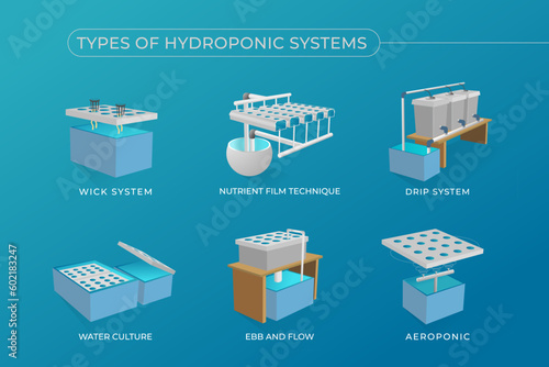 Types of hydroponic systems in 3D vector style