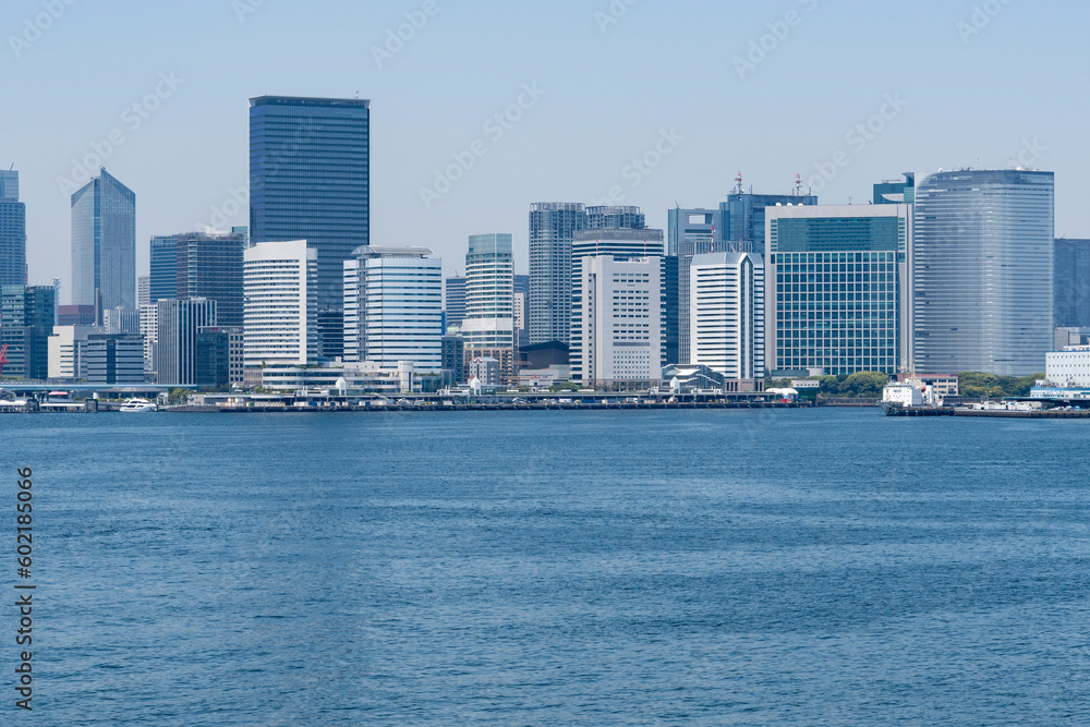 Fototapeta premium 東京レインボーブリッジから望む都市風景