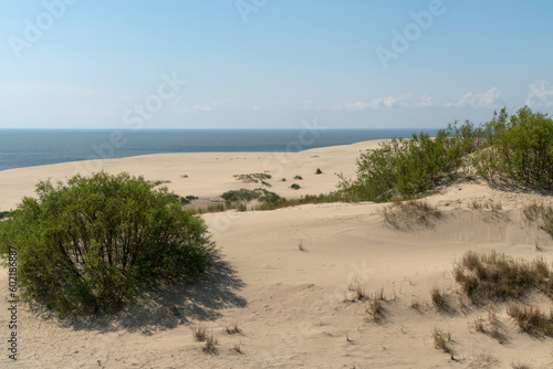 View of Staroderevenskaya dune from the height of Efa (Walnut Dune) and the Baltic Sea in the background on a sunny summer day, Curonian Spit, Kaliningrad region, Russia