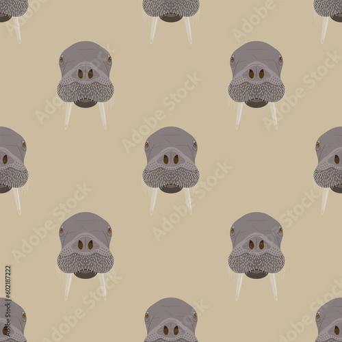 Seamless animal pattern with walrus heads. Odobenus rosmarus. Cartoon style. On beige background.