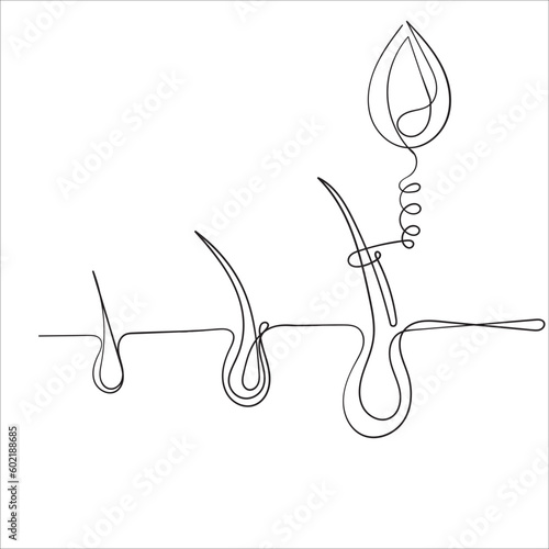 continuous line drawing serum for hair follicle treatment illustration