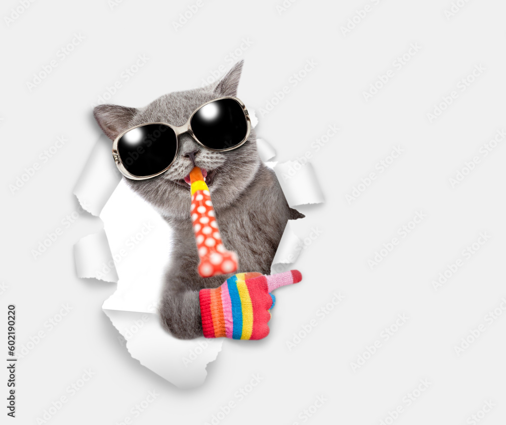 Happy cat wearing sunglasses looks through the hole in white paper, blows in party horn and points away on empty space
