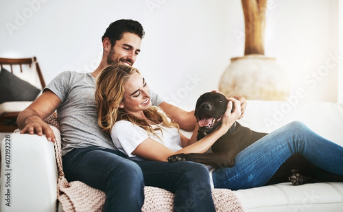 Canvas Print Smile, relax or happy couple with a dog on house sofa bonding or hugging with trust or loyalty together
