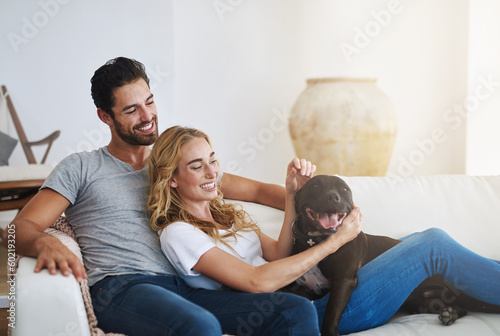 Dog, relax or happy couple with a pet on house sofa bonding or hugging with trust or loyalty together. Smile, animal lovers or woman enjoys playing with cute pitbull puppy with care on couch at home