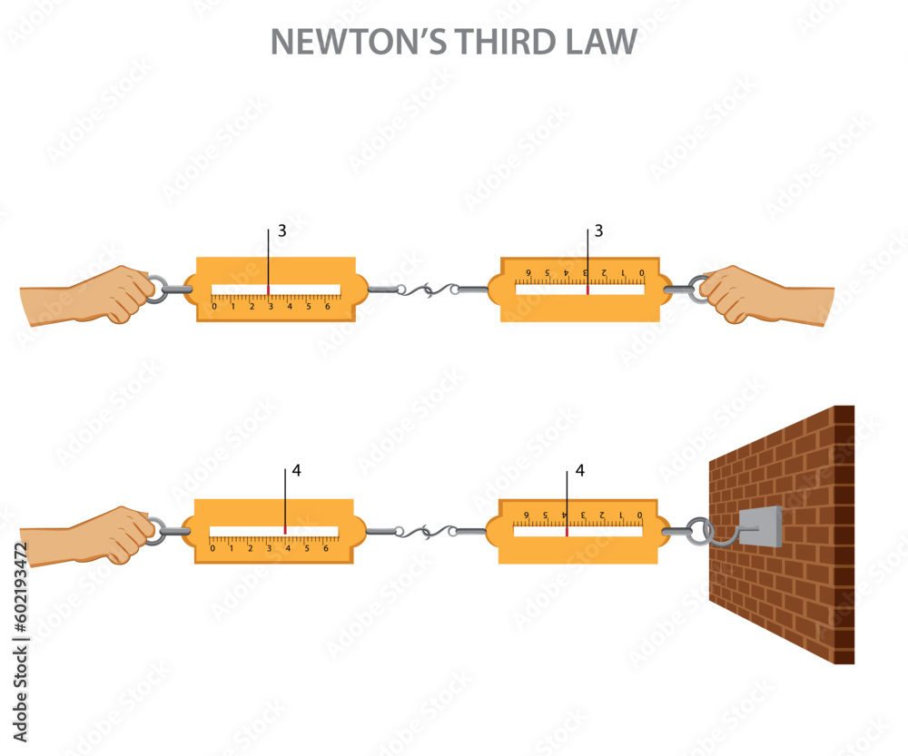Newton's third law states that for every action, there is an equal and