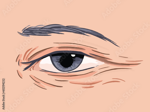 Face or skin wrinkles around eye area close up vector illustration isolated on skin colored horizontal background. Simple flat art styled of aged or old human skin.