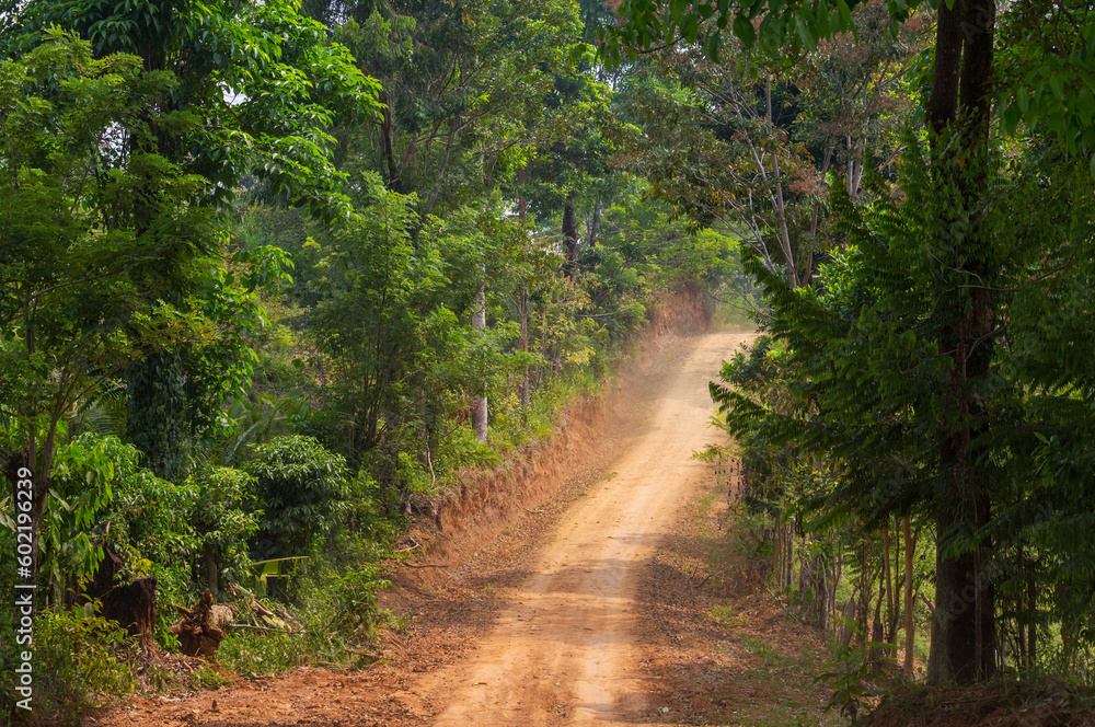 Rural road