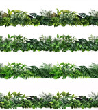 seamless tropical leave foliage plant horizontal arrangement, nature backdrop isolated on white , Generative AI.