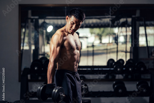 Fitness man workout weight training biceps muscles with dumbbell in fitness gym. Weight training exercise in concept of health and wellness.