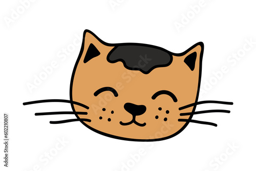 Hand drawn cat muzzle clipart. Cute pet face doodle