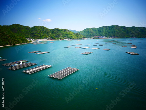 蠣の養殖　oyster farming