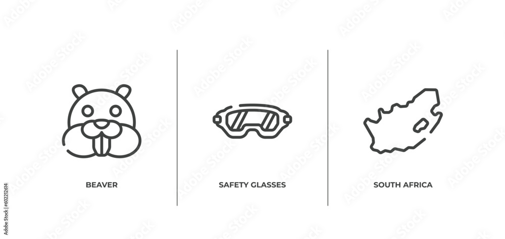 africa outline icons set. thin line icons sheet included beaver, safety glasses, south africa vector.