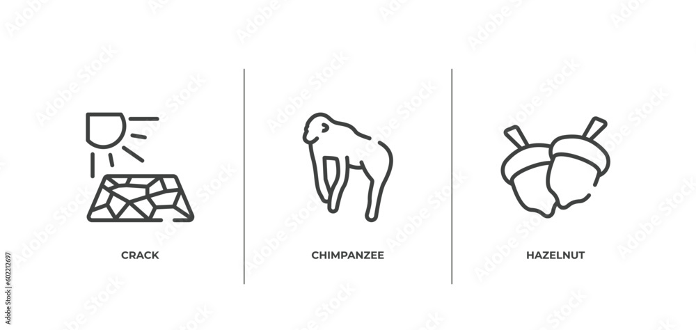 wildlife outline icons set. thin line icons sheet included crack, chimpanzee, hazelnut vector. wildlife outline icons set. thin line icons sheet included crack, chimpanzee, hazelnut vector.