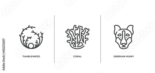 winter nature outline icons set. thin line icons sheet included tumbleweed, coral, siberian husky vector.