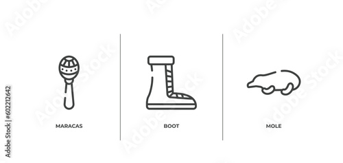 animals outline icons set. thin line icons sheet included maracas, boot, mole vector.
