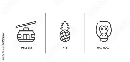 zoo outline icons set. thin line icons sheet included cable car, pine, orangutan vector.