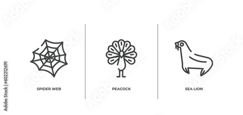 zoo outline icons set. thin line icons sheet included spider web, peacock, sea lion vector.