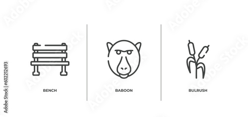 nature outline icons set. thin line icons sheet included bench, baboon, bulrush vector.