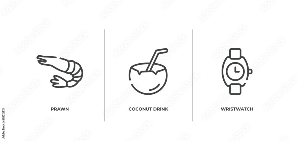 diving outline icons set. thin line icons sheet included prawn, coconut drink, wristwatch vector. diving outline icons set. thin line icons sheet included prawn, coconut drink, wristwatch vector.