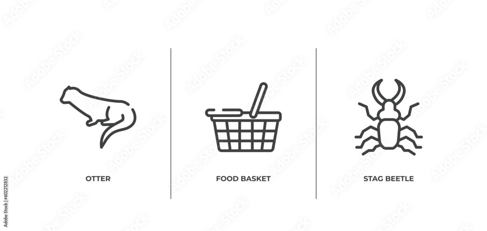 insects outline icons set. thin line icons sheet included otter, food basket, stag beetle vector. insects outline icons set. thin line icons sheet included otter, food basket, stag beetle vector.