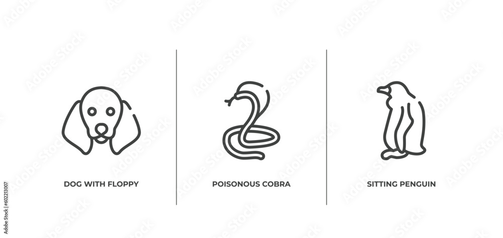 Obraz premium free animals outline icons set. thin line icons sheet included dog with floppy ears, poisonous cobra, sitting penguin vector.