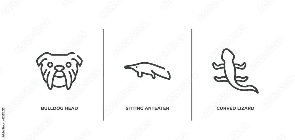 free animals outline icons set. thin line icons sheet included bulldog head, sitting anteater, curved lizard vector.