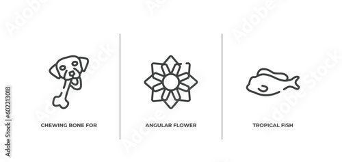 free animals outline icons set. thin line icons sheet included chewing bone for dog, angular flower, tropical fish vector.