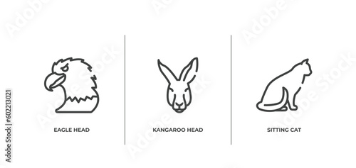 free animals outline icons set. thin line icons sheet included eagle head, kangaroo head, sitting cat vector.