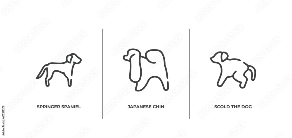 dog and training outline icons set. thin line icons sheet included springer spaniel, japanese chin, scold the dog vector. - obrazy, fototapety, plakaty 
