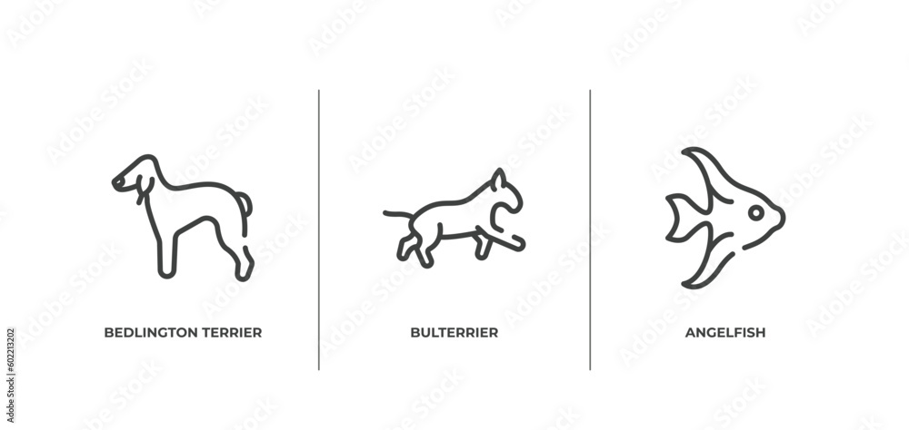 pet lovers outline icons set. thin line icons sheet included bedlington terrier, bulterrier, angelfish vector.
