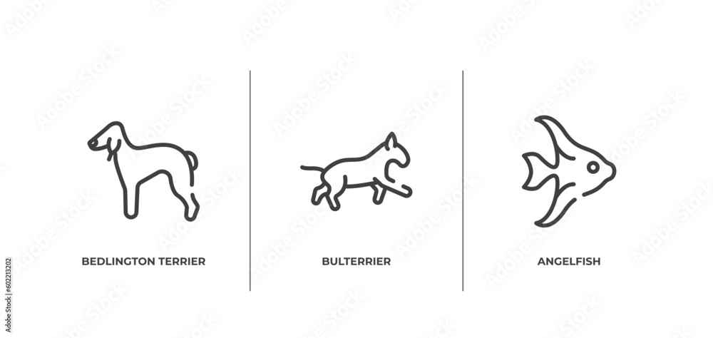 pet lovers outline icons set. thin line icons sheet included bedlington terrier, bulterrier, angelfish vector. pet lovers outline icons set. thin line icons sheet included bedlington terrier, bulterrier, angelfish vector.