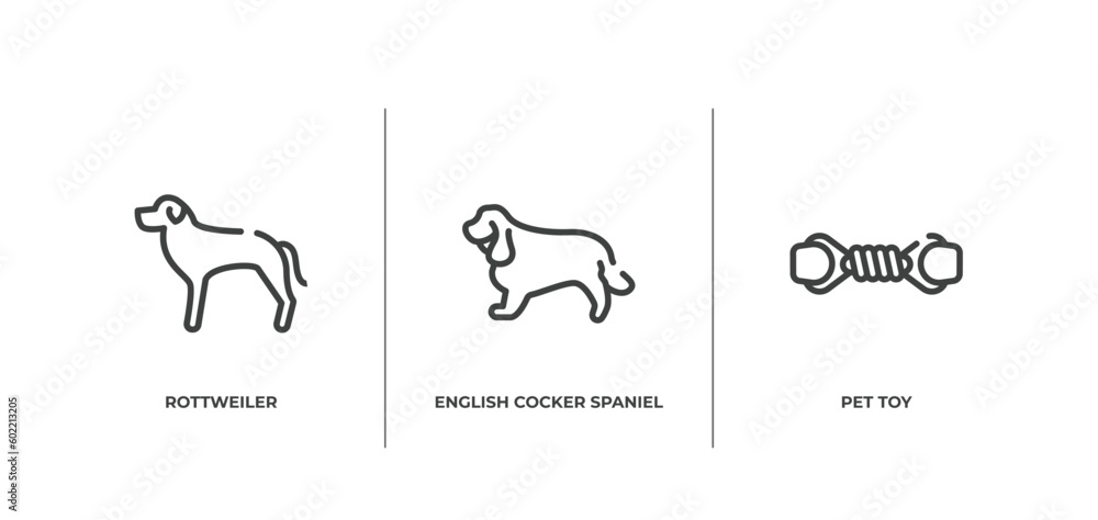 pet lovers outline icons set. thin line icons sheet included rottweiler, english cocker spaniel, pet toy vector. pet lovers outline icons set. thin line icons sheet included rottweiler, english cocker spaniel, pet toy vector.