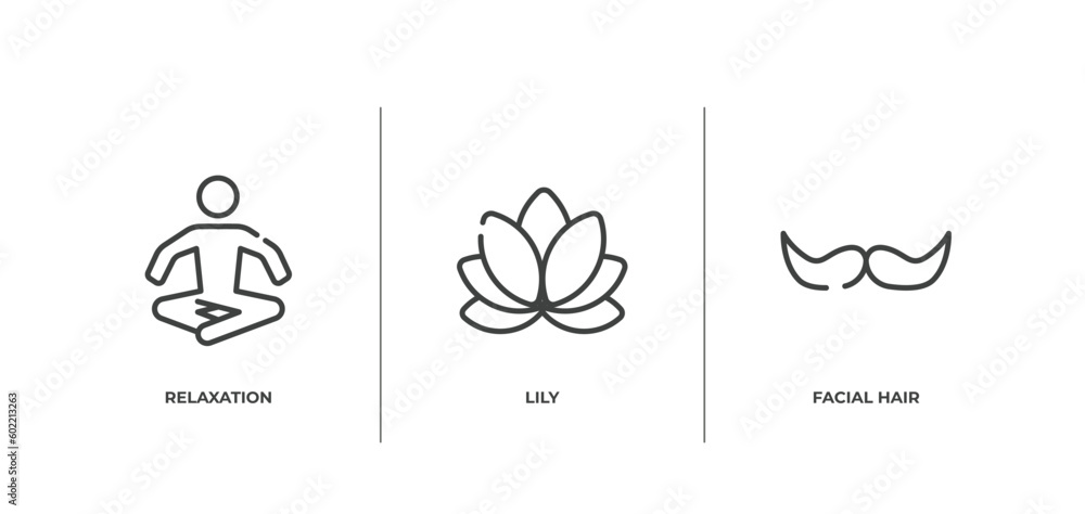 beauty outline icons set. thin line icons sheet included relaxation, lily, facial hair vector.