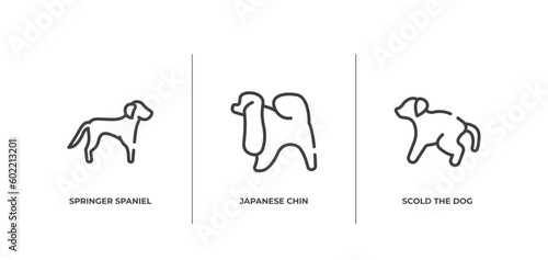 dog and training outline icons set. thin line icons sheet included springer spaniel, japanese chin, scold the dog vector.