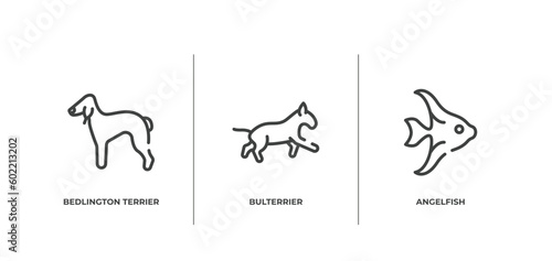 pet lovers outline icons set. thin line icons sheet included bedlington terrier, bulterrier, angelfish vector.