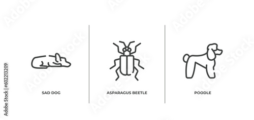 dog and training outline icons set. thin line icons sheet included sad dog, asparagus beetle, poodle vector.
