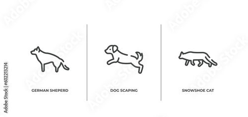 cat breed bodies outline icons set. thin line icons sheet included german sheperd, dog scaping, snowshoe cat vector.