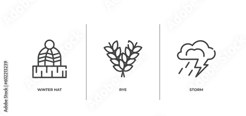 autumn outline icons set. thin line icons sheet included winter hat  rye  storm vector.