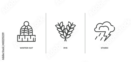 autumn outline icons set. thin line icons sheet included winter hat, rye, storm vector.