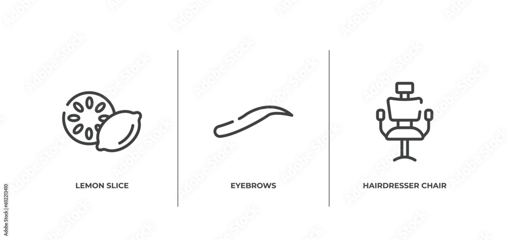 hairdressing and esthetics outline icons set. thin line icons sheet included lemon slice, eyebrows, hairdresser chair vector. hairdressing and esthetics outline icons set. thin line icons sheet included lemon slice, eyebrows, hairdresser chair vector.