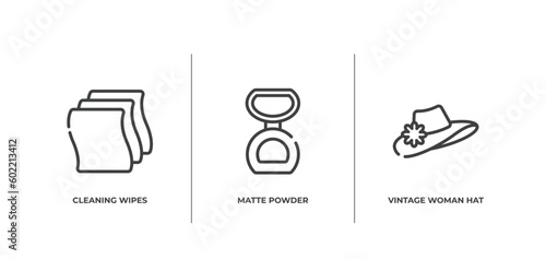 beautiful outline icons set. thin line icons sheet included cleaning wipes  matte powder  vintage woman hat vector.