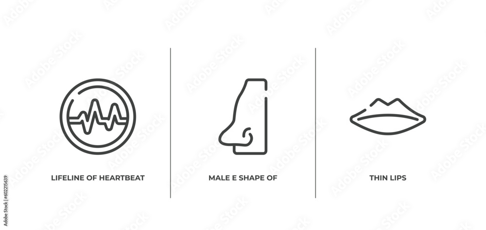 Fototapeta premium body parts outline icons set. thin line icons sheet included lifeline of heartbeat in a circle, male e shape of a line, thin lips vector.