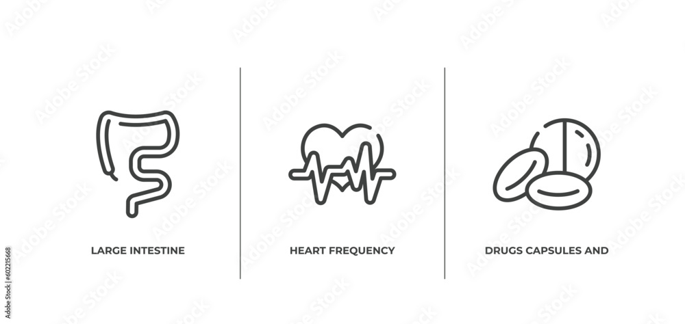 medical icons outline icons set. thin line icons sheet included large intestine, heart frequency, drugs capsules and pills vector. medical icons outline icons set. thin line icons sheet included large intestine, heart frequency, drugs capsules and pills vector.