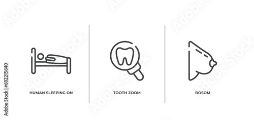 body parts outline icons set. thin line icons sheet included human sleeping on bed, tooth zoom, bosom vector.